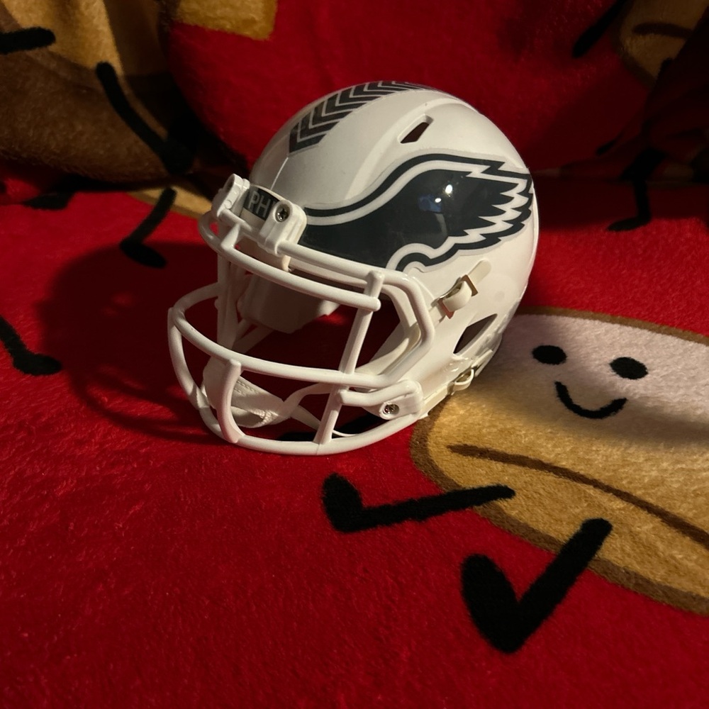 NFL White and Black Mini Helmet